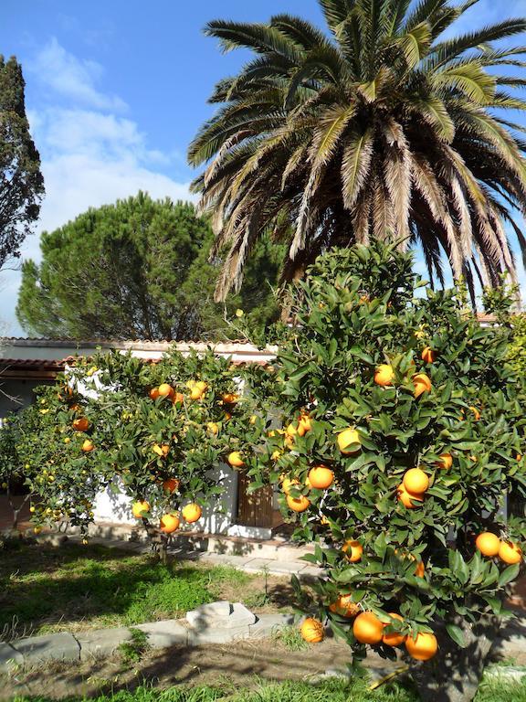 Il Giardino Di Emilio Bed and Breakfast Marrùbiu Kamer foto